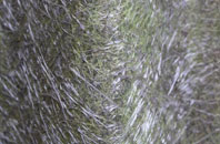 Glan Y Wern fibreglass roof work